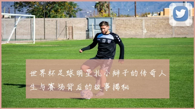 世界杯足球明星扎小辩子的传奇人生与赛场背后的故事揭秘
