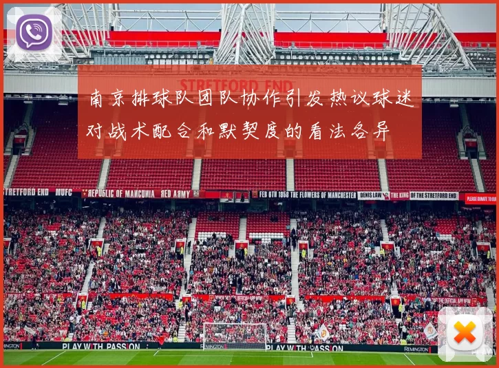 南京排球队团队协作引发热议球迷对战术配合和默契度的看法各异