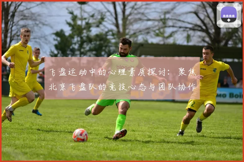 飞盘运动中的心理素质探讨：聚焦北京飞盘队的竞技心态与团队协作