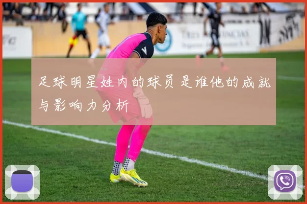足球明星姓内的球员是谁他的成就与影响力分析