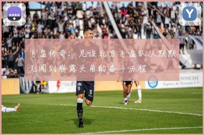 飞盘传奇：见证北京飞盘队从默默无闻到崭露头角的奋斗历程