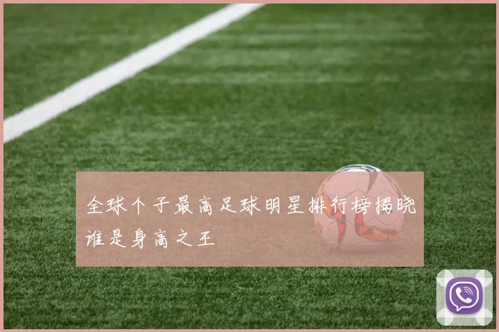 全球个子最高足球明星排行榜揭晓谁是身高之王