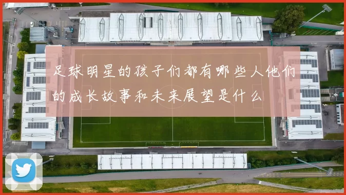足球明星的孩子们都有哪些人他们的成长故事和未来展望是什么