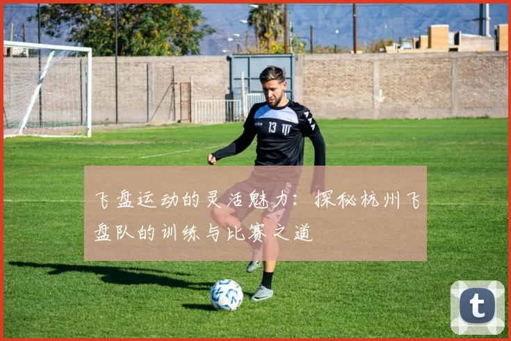 飞盘运动的灵活魅力：探秘杭州飞盘队的训练与比赛之道