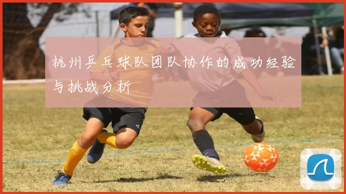 杭州乒乓球队团队协作的成功经验与挑战分析