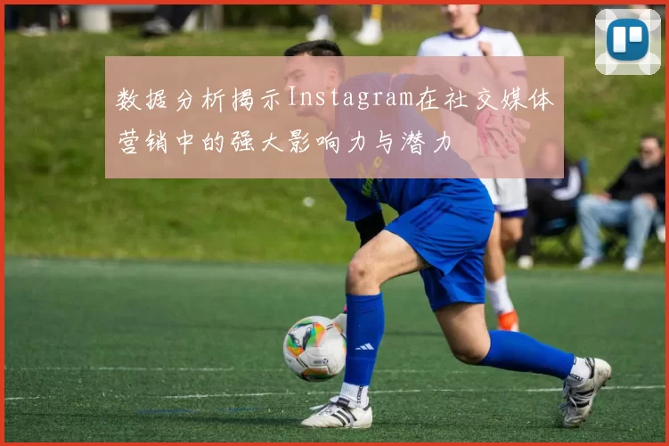 数据分析揭示Instagram在社交媒体营销中的强大影响力与潜力