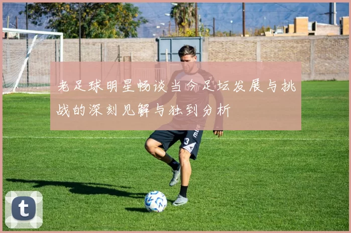老足球明星畅谈当今足坛发展与挑战的深刻见解与独到分析