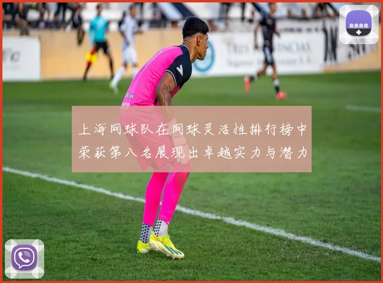 上海网球队在网球灵活性排行榜中荣获第八名展现出卓越实力与潜力