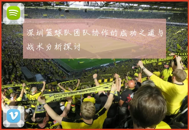 深圳篮球队团队协作的成功之道与战术分析探讨