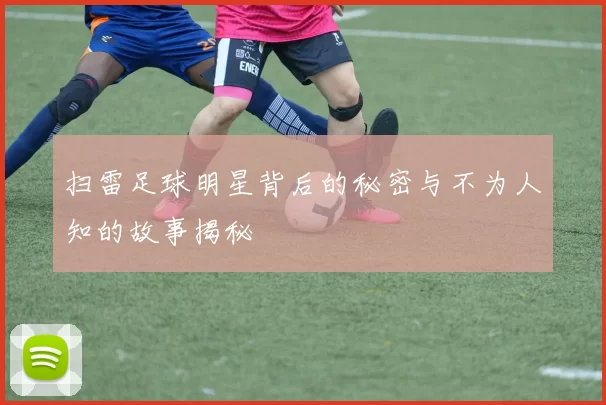 扫雷足球明星背后的秘密与不为人知的故事揭秘