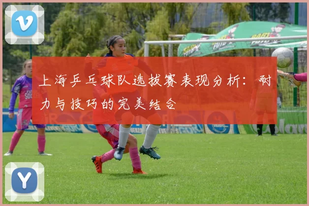 上海乒乓球队选拔赛表现分析：耐力与技巧的完美结合