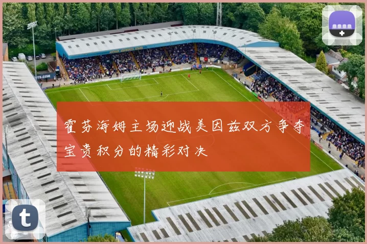 霍芬海姆主场迎战美因兹双方争夺宝贵积分的精彩对决