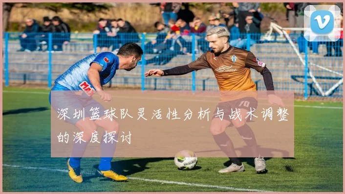 深圳篮球队灵活性分析与战术调整的深度探讨