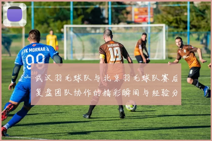 武汉羽毛球队与北京羽毛球队赛后复盘团队协作的精彩瞬间与经验分享